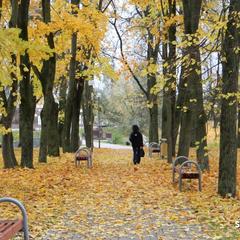 Осень в Сморгони