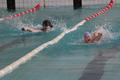 15 и 16 марта в бассейне Сморгонского политехнического лицея прошел фестиваль плавания «Золотая рыбка»