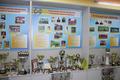 В школе № 7 состоялось торжественное открытие районного спортивного музея  