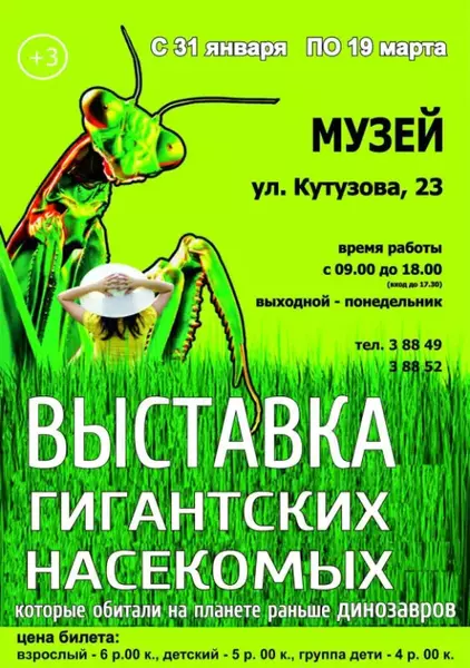 Выставка «Гигантских насекомых» Выставка «Гигантских насекомых»